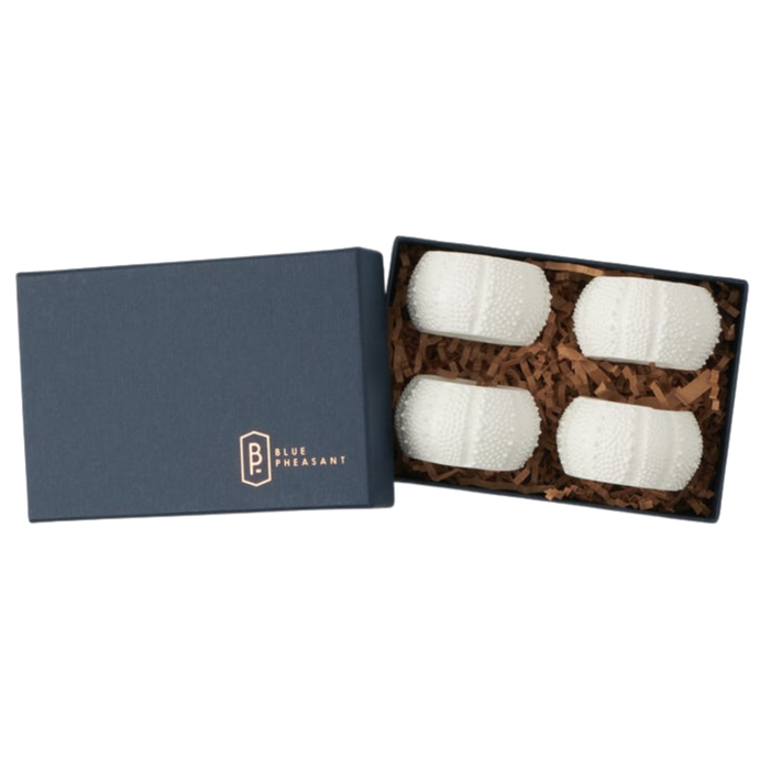 Marina White Sea Urchin Napkin Rings, S/4