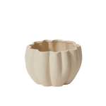 Spiced Pumpkin Pot, Cream