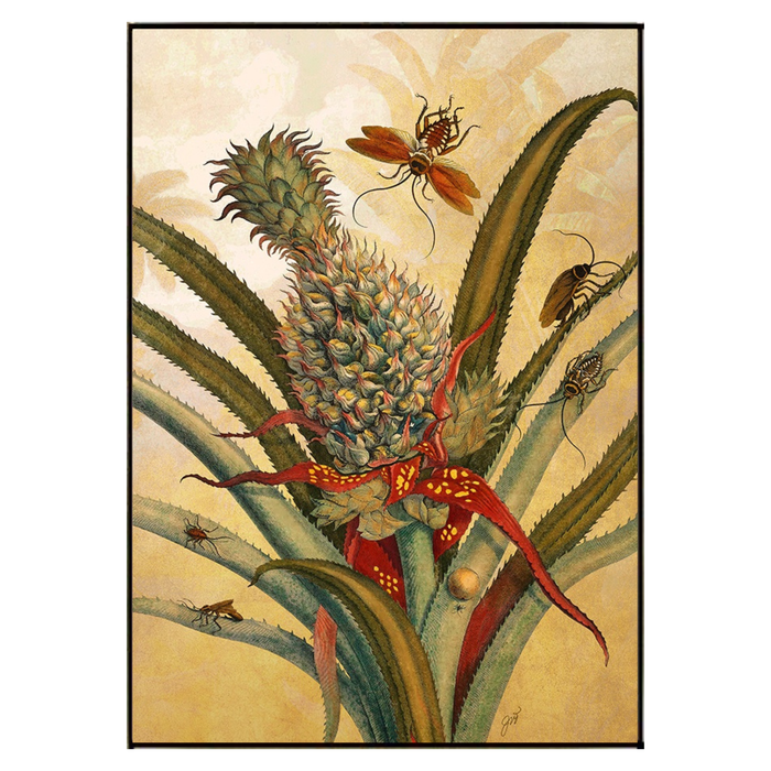 Curiosities I, 25.5" x 35.5"