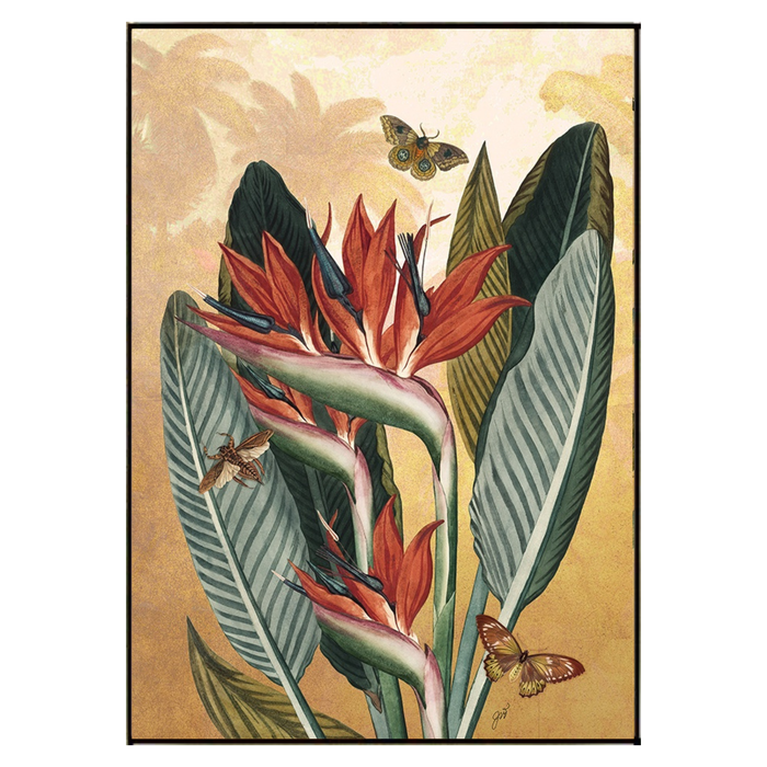 Curiosities II, 25.5" x 35.5"