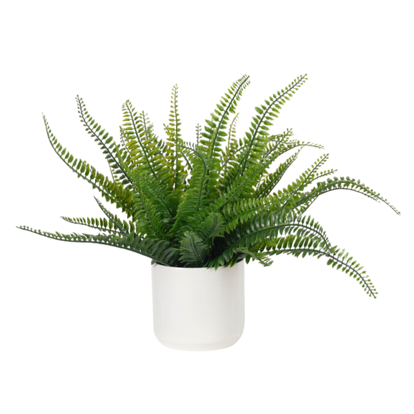 Faux Boston Fern, UV Outdoor, 14"