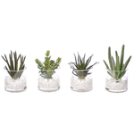 Succulent, Faux Greenery Watergarden, 8", 4 Styles, Sold Individually