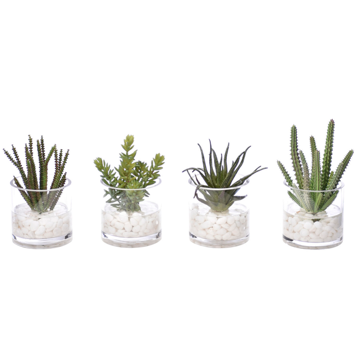 Succulent, Faux Greenery Watergarden, 8", 4 Styles, Sold Individually