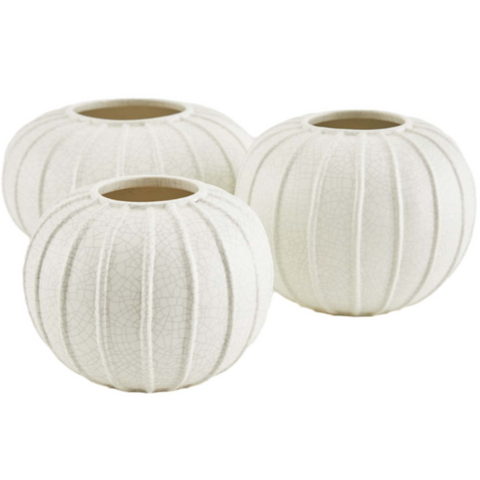 Pompano Vases, 3 Sizes, Sold Separately