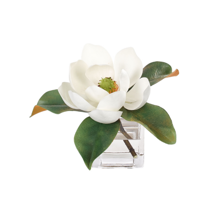 Magnolia, White, in Glass Cube Faux Watergarden, 7″