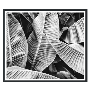 Banana Leaf, 33" x 40"