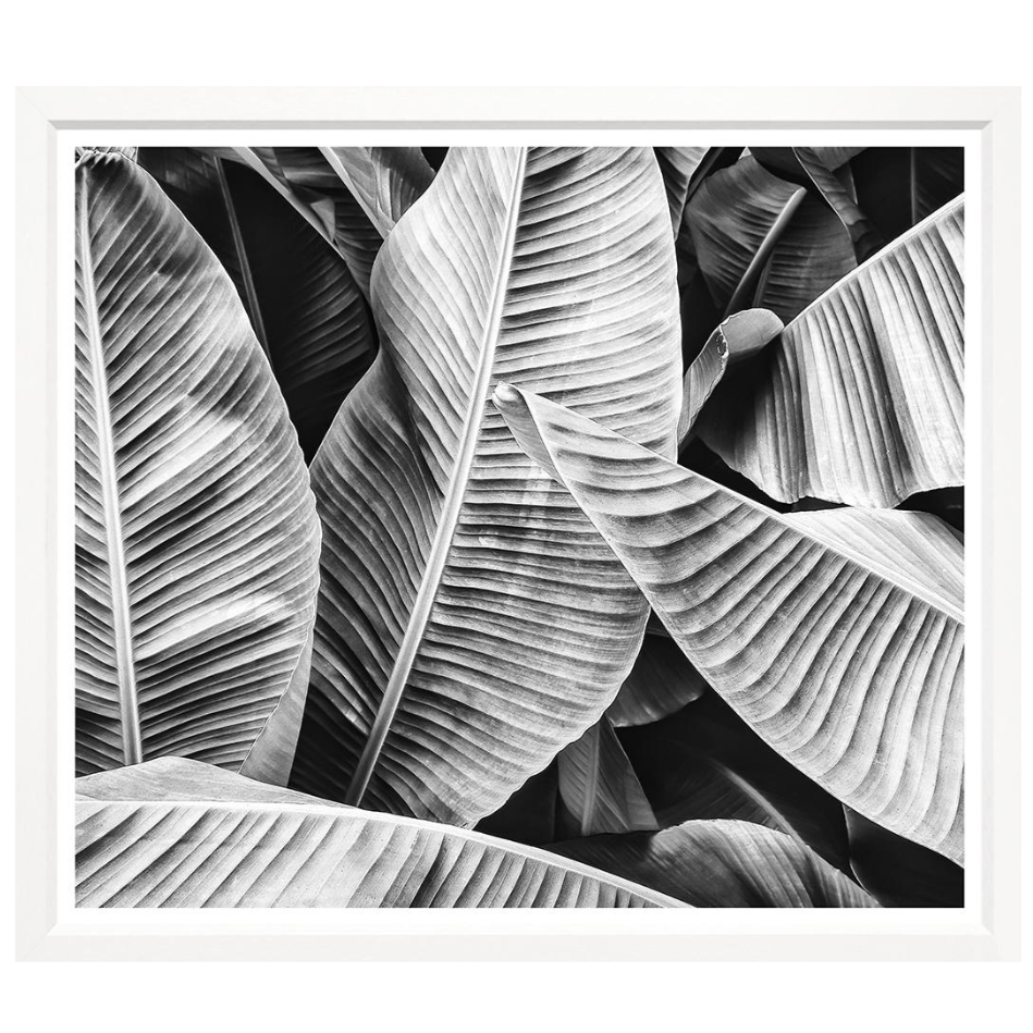 Banana Leaf, 42" x 50"