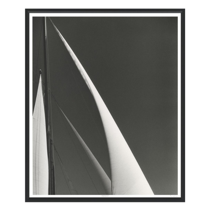 Foresails, 37"W x 44"H