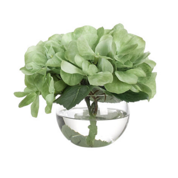 Hydrangea, Faux Watergarden, 6″