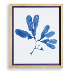 Indigo Seaweed Prints, 4 Styles, 19.25"W x 23"H