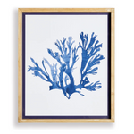 Indigo Seaweed Prints, 4 Styles, 19.25"W x 23"H
