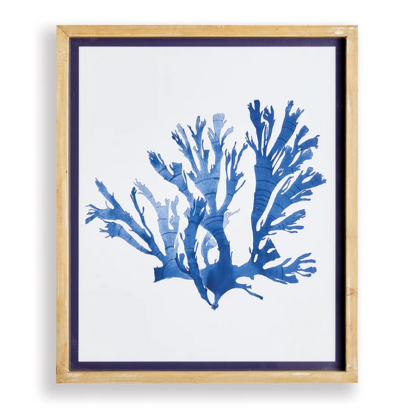 Indigo Seaweed Prints, 4 Styles, 19.25"W x 23"H