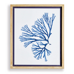 Indigo Seaweed Prints, 4 Styles, 19.25"W x 23"H