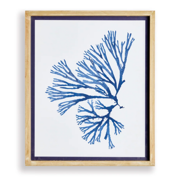 Indigo Seaweed Prints, 4 Styles, 19.25"W x 23"H