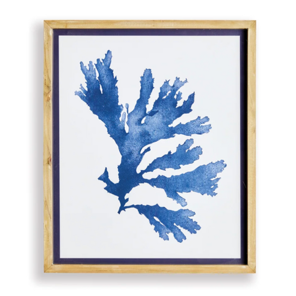 Indigo Seaweed Prints, 4 Styles, 19.25"W x 23"H