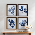 Indigo Seaweed Prints, 4 Styles, 19.25"W x 23"H