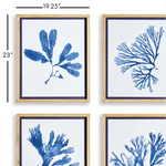Indigo Seaweed Prints, 4 Styles, 19.25"W x 23"H