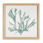 Coral Silhouettes, 4 Styles, 27.5"W x 27.5"H