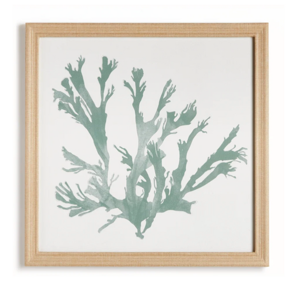 Coral Silhouettes, 4 Styles, 27.5"W x 27.5"H