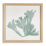 Coral Silhouettes, 4 Styles, 27.5"W x 27.5"H