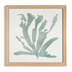 Coral Silhouettes, 4 Styles, 27.5"W x 27.5"H