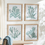 Coral Silhouettes, 4 Styles, 27.5"W x 27.5"H