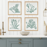 Coral Silhouettes, 4 Styles, 27.5"W x 27.5"H