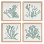 Coral Silhouettes, 4 Styles, 27.5"W x 27.5"H