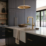 Piatto Medium 18"Dia Pendant, Plaster White/Hand-Rubbed Antique Brass