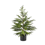 Artificial Norfolk Pine Tree - 36"