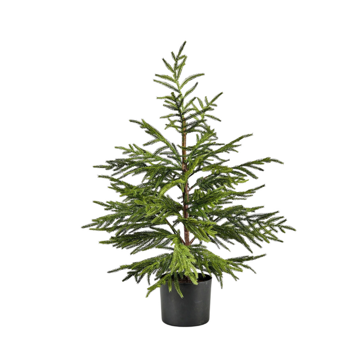 Artificial Norfolk Pine Tree - 36"