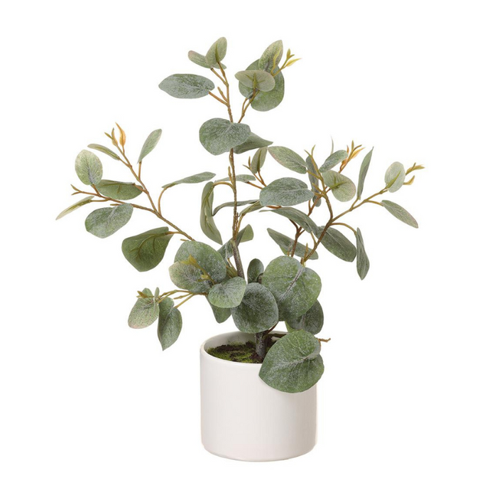 14.5" Eucalyptus Plant in Ceramic Pot Green