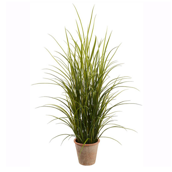 57" Grass in Clay Pot
