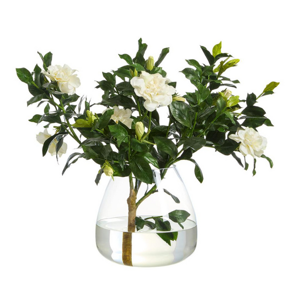 Gardenia Branch in Round Glass Vase, Cream, 22"H x 24"W x 30"L