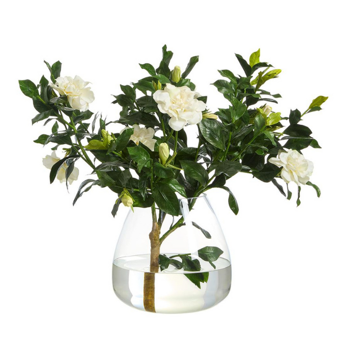 Gardenia Branch in Round Glass Vase, Cream, 22"H x 24"W x 30"L