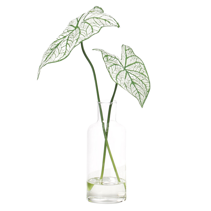 Caladium, Faux Greenery Watergarden, 23"