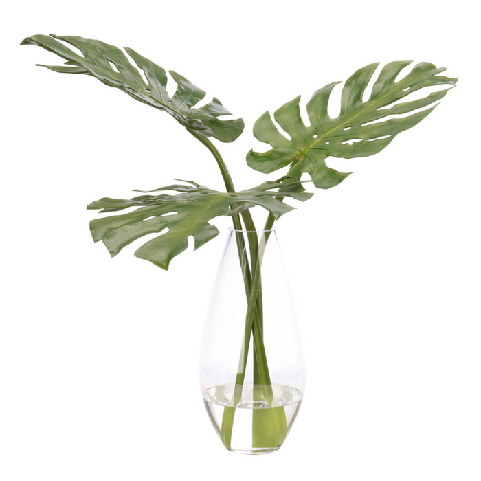 Selloum, Faux Watergarden, 24"
