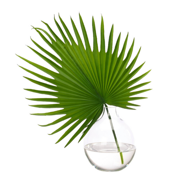 Fan Palm Leaf, Faux Greenery Watergarden, 17″