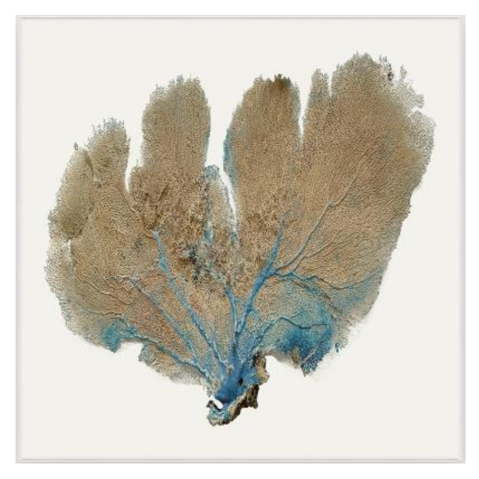 Blue Infusion III, 31.25" x 31.25", White Frame