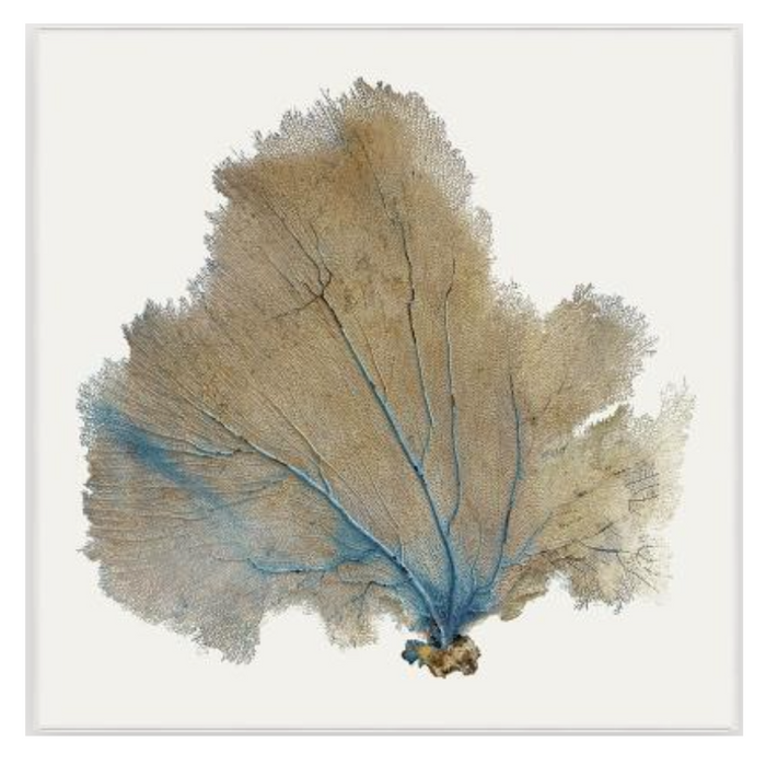 Blue Infusion II, 31.25" x 31.25", White Frame