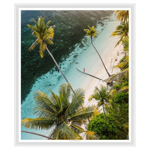 Borders of Paradise, 42" x 49"