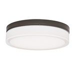 Cirque Large Outdoor Wall/ Flush Mount, Bronze