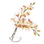 Green Cymbidium Orchids Silk Arrangement in Glass Bubble, 16" H