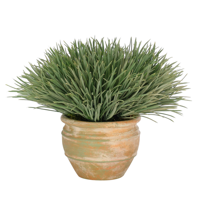 Grass, Faux Arrangement, 12"Dia x 9"H
