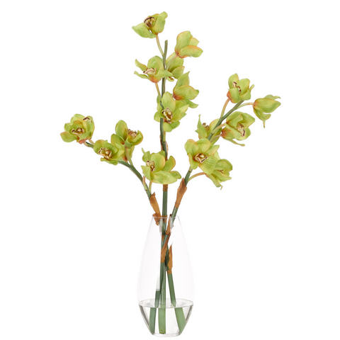 Orchid Cymbidium, Green, in Glass Vase Faux Watergarden, 32"