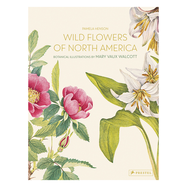 Wild Flowers of North America