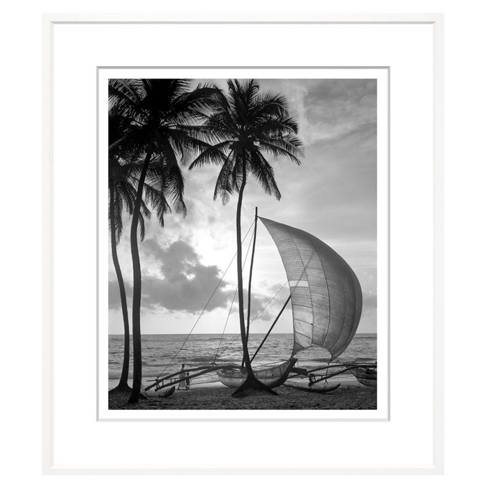 Tropical Catamaran, 19" x 23"