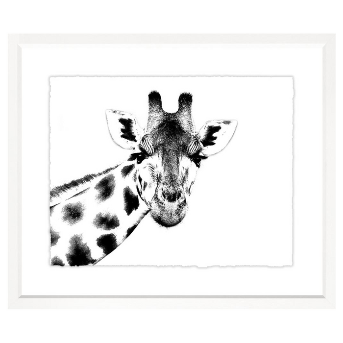 Animal Collection Black and White, 41" x 34"