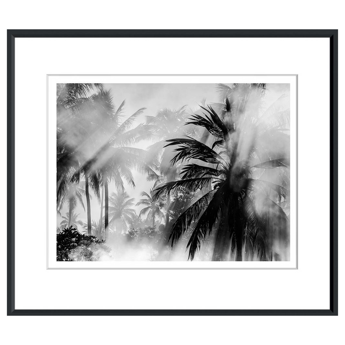 Brazillian Palms, 40" x 33"