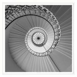 Tulip Stairs, 37" x 37"